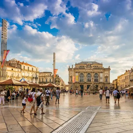 Beau T3 Avec Terrasse Plein Sud Montpellier